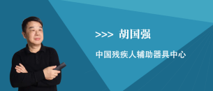 胡国强