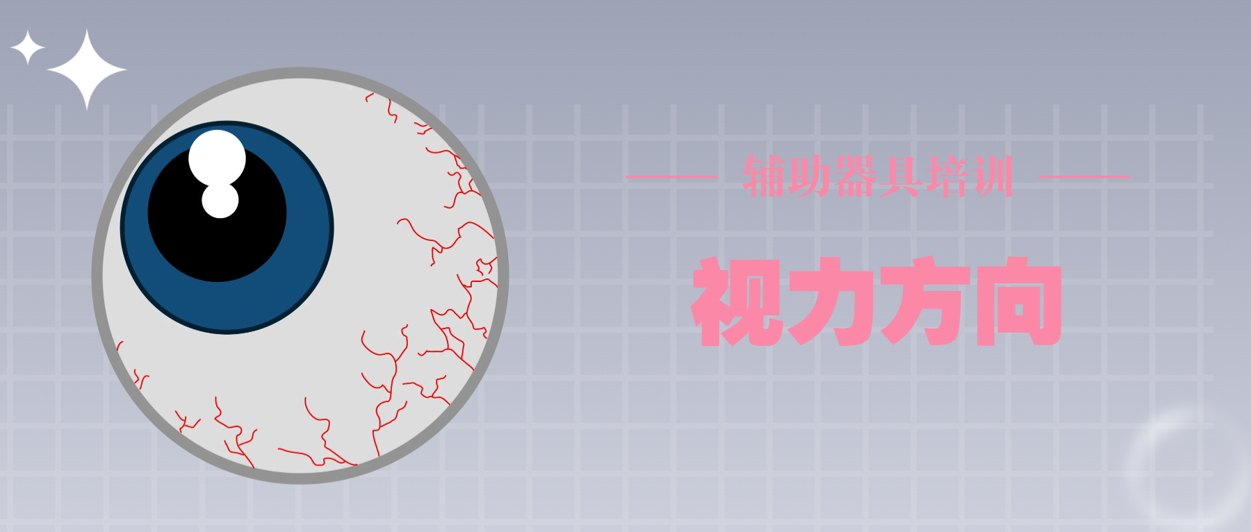 ​辅助技术（低视力方向）培训