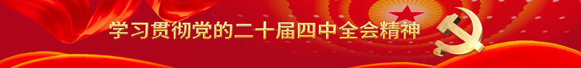 学习贯彻党的二十届四中全会精神